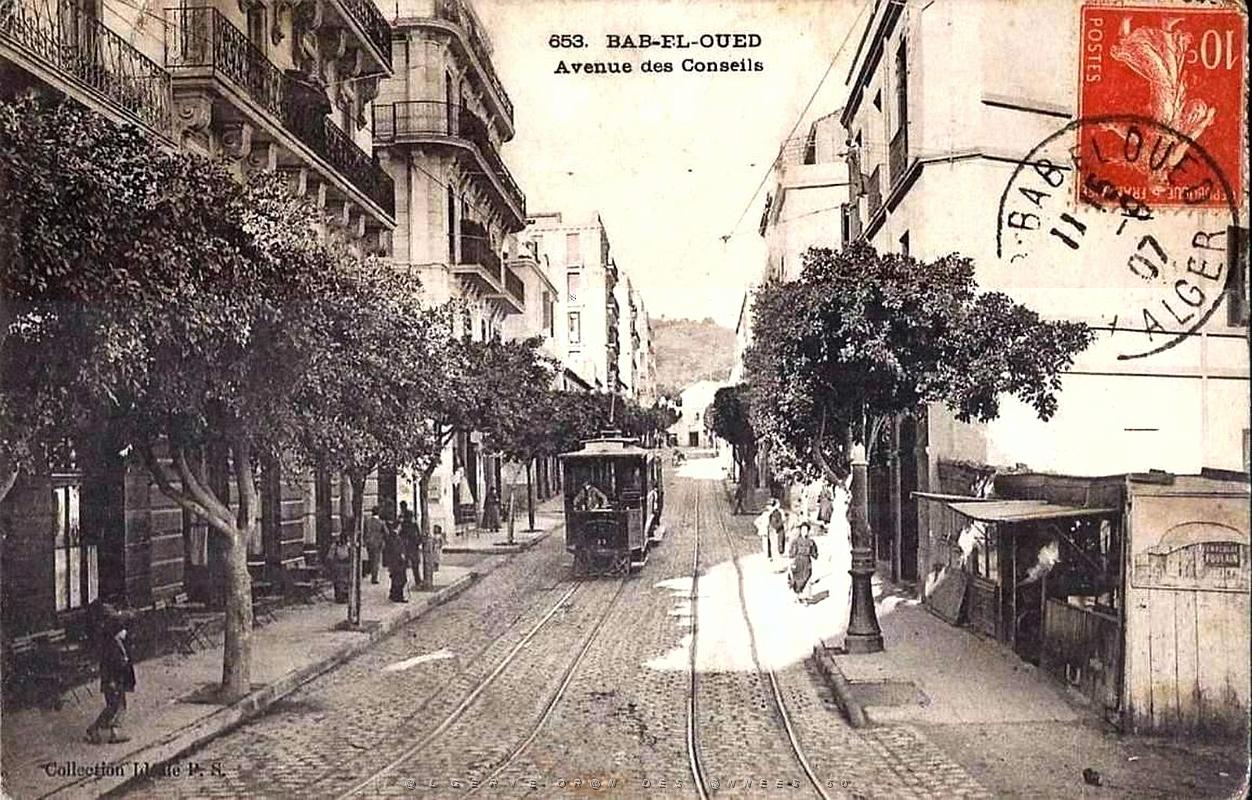 113- Alger - Bab-el-oued - Avenue des conseils.jpg